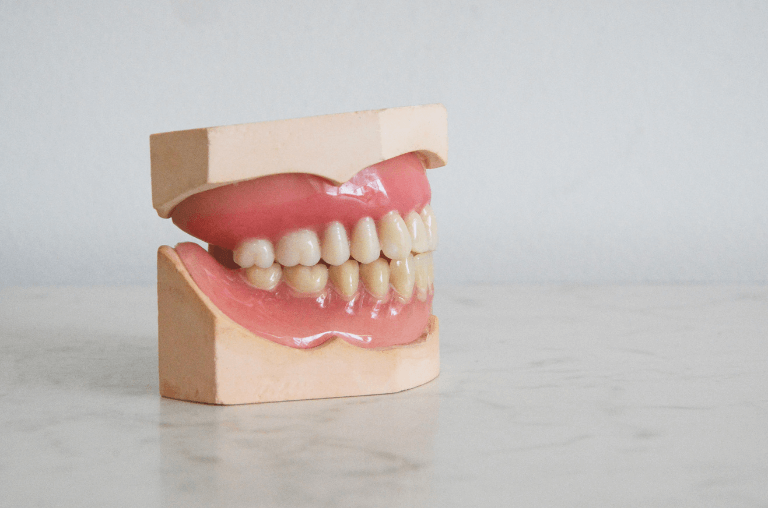 Root canal treatment - gum model